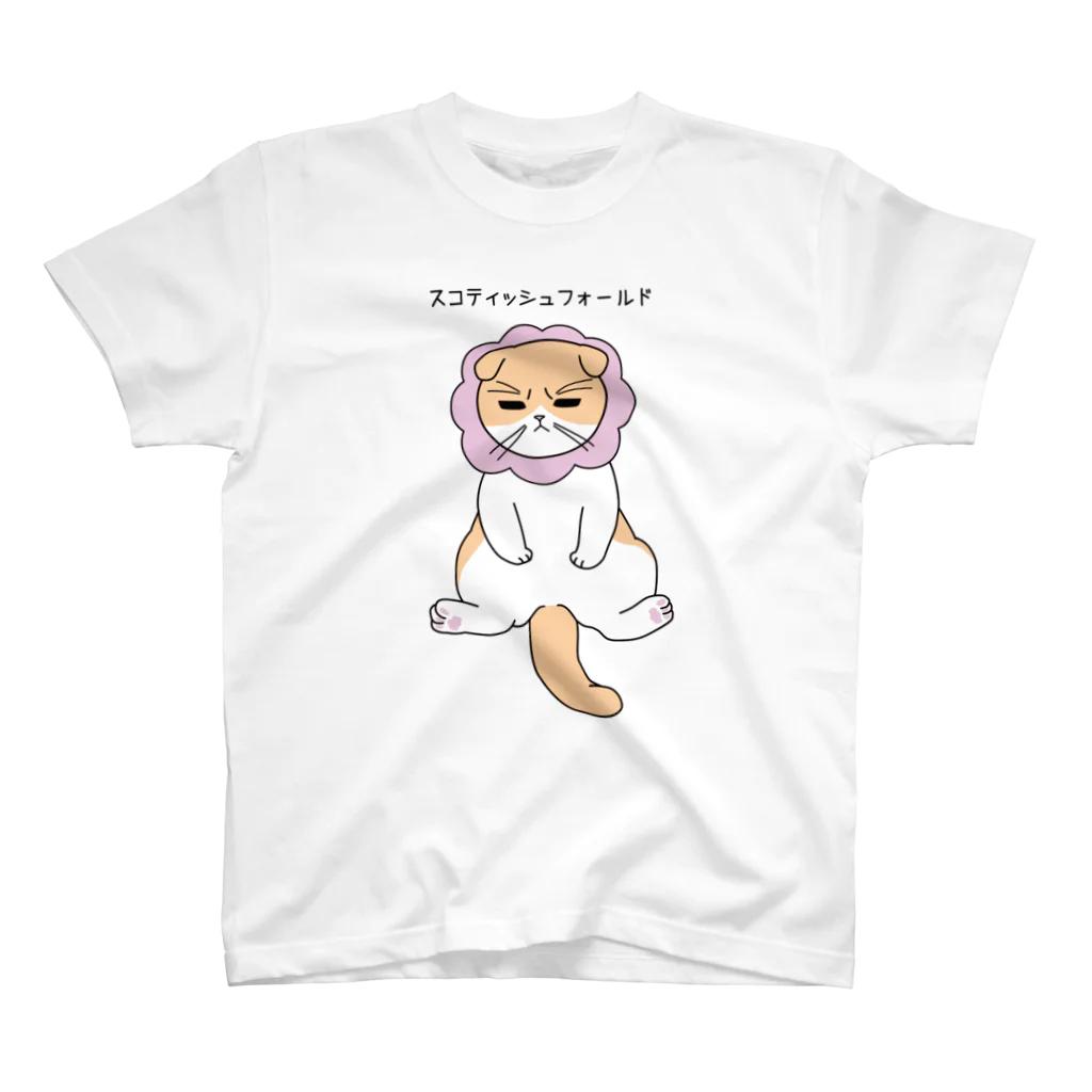 スイカんちの猫の不機嫌スコ スタンダードTシャツ