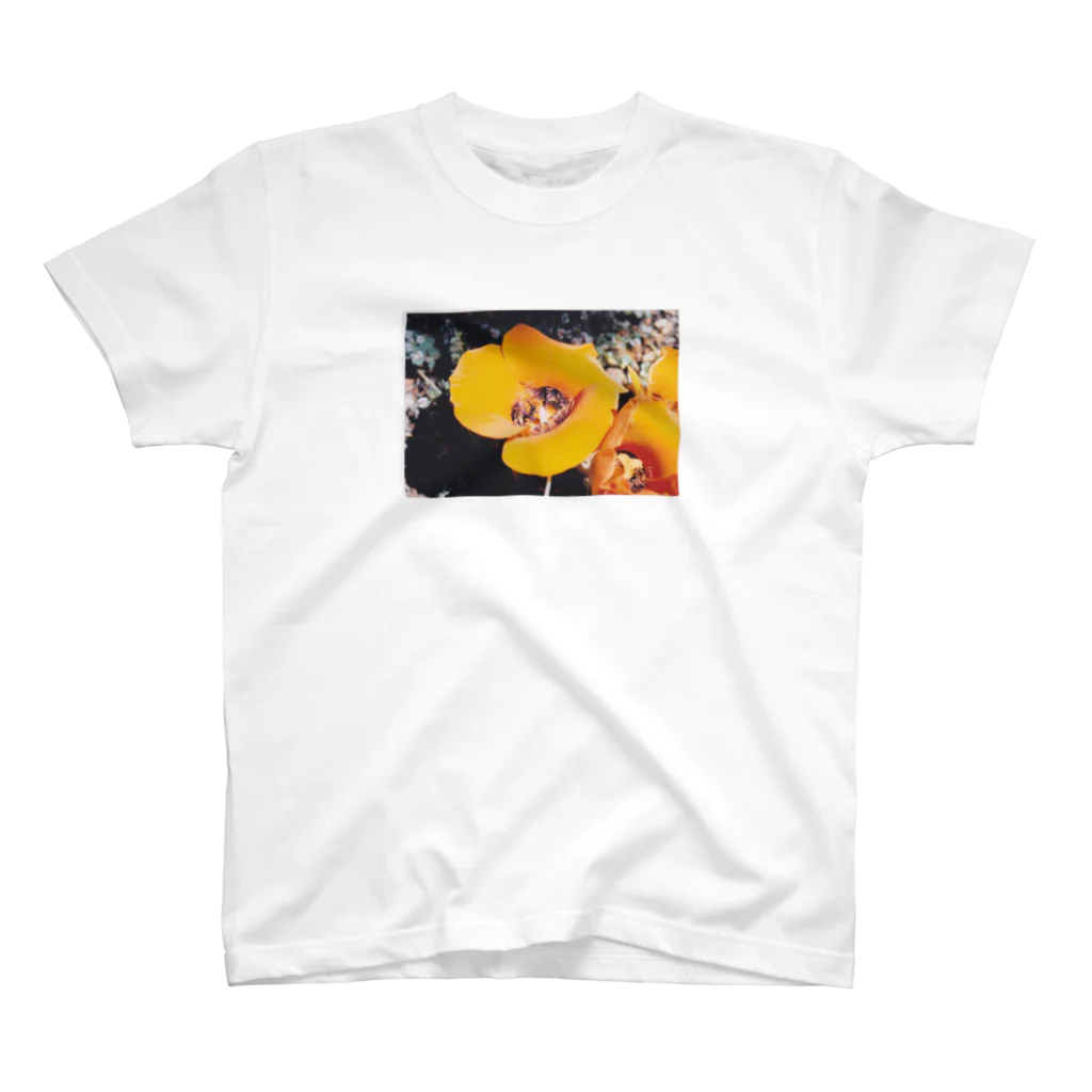 初審のClose Up of Orange Poppy Flower Regular Fit T-Shirt