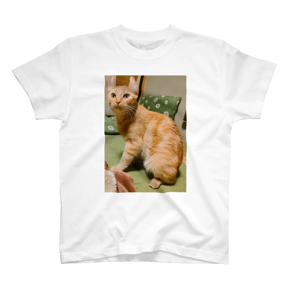 ふじちゃんの猫のまろんちゃんキーホルダー Regular Fit T-Shirt