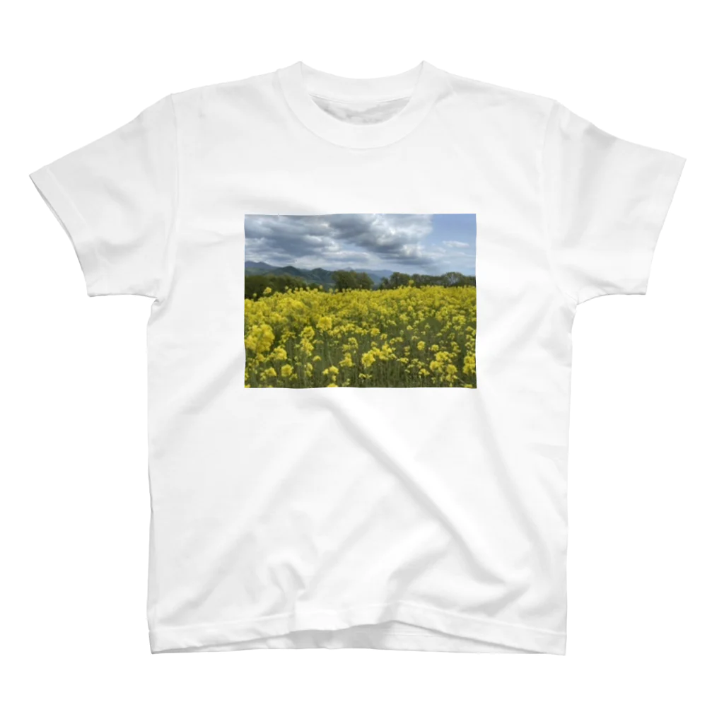 Zunco☺︎のsky Rape field Regular Fit T-Shirt