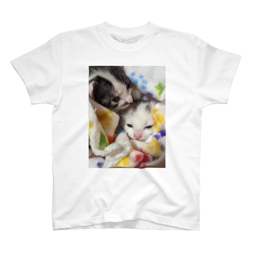 ササキ家のアニマルの子猫たち Regular Fit T-Shirt