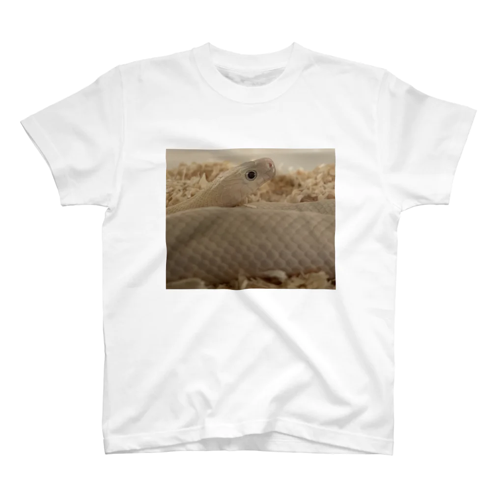 白蛇のゆずの白蛇のゆず Regular Fit T-Shirt