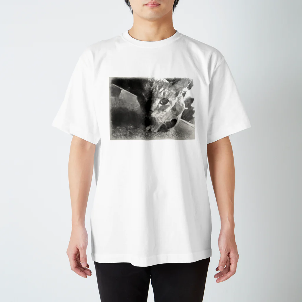 Haworthiaの猫だよ Regular Fit T-Shirt