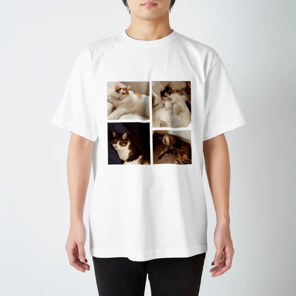 4匹の猫のよんねこTシャツ スタンダードTシャツ