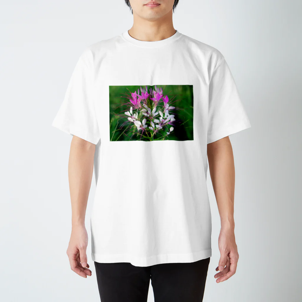 CLEOMEのクレオメ(花) Regular Fit T-Shirt