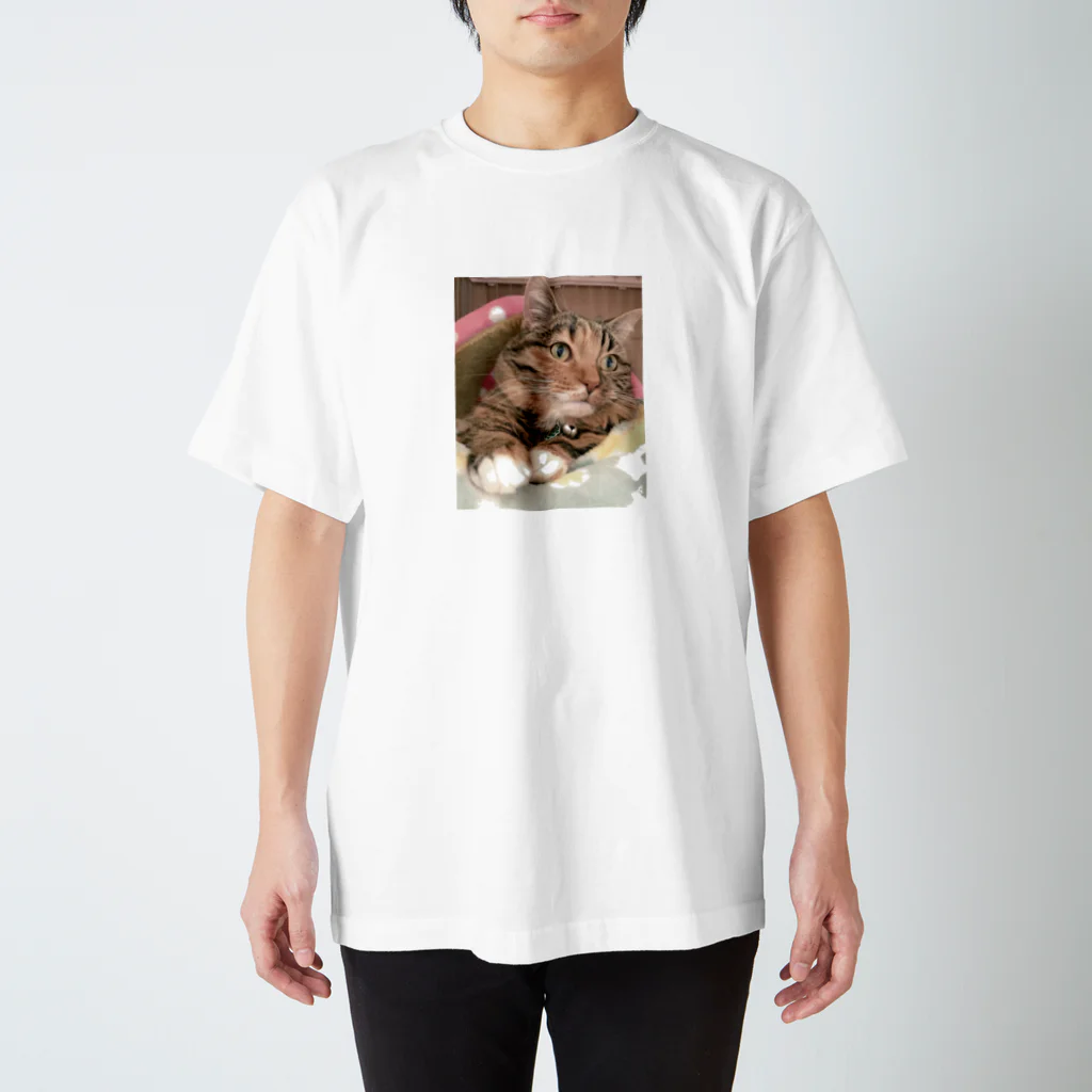 咲島の悟り猫 スタンダードTシャツ
