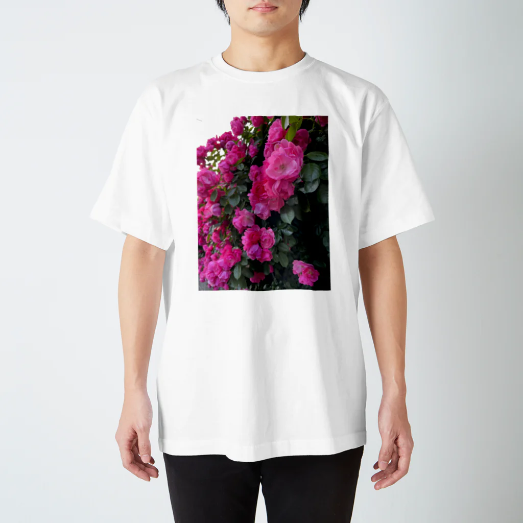 sumidagawaの薔薇の壁 スタンダードTシャツ