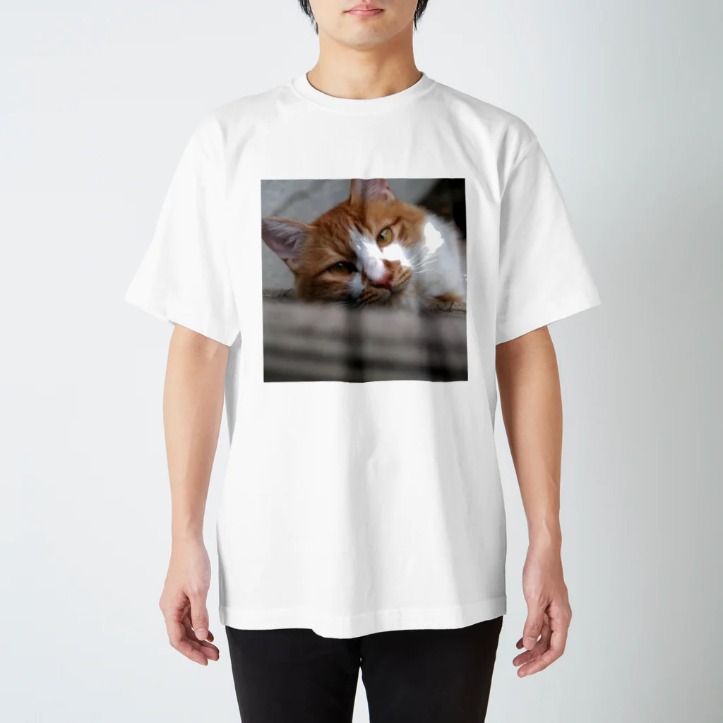 高野寛のSUZURIのcat's eye スタンダードTシャツ