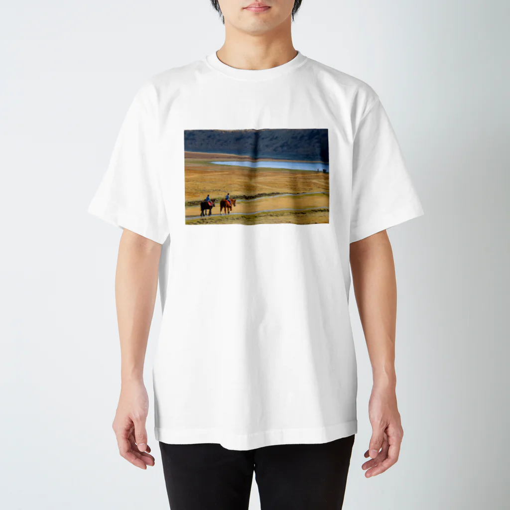 Shotfelice -Kimihiko Ikeda-の草千里ヶ浜と馬 スタンダードTシャツ