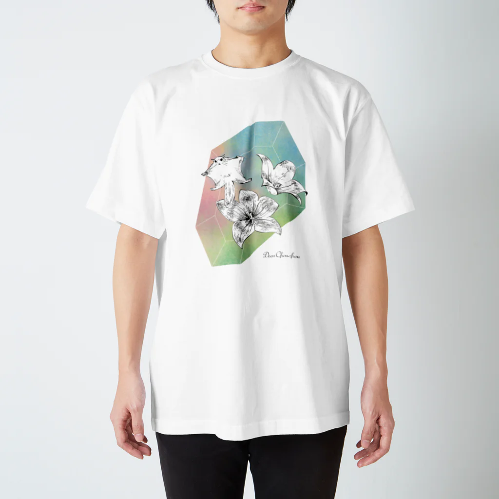 Dear Chouchouの宝石とモモンガ スタンダードTシャツ