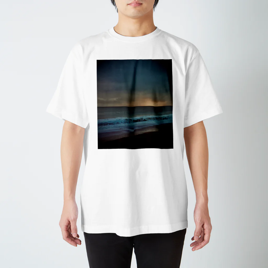 WhenuaのSSM12019211 Regular Fit T-Shirt