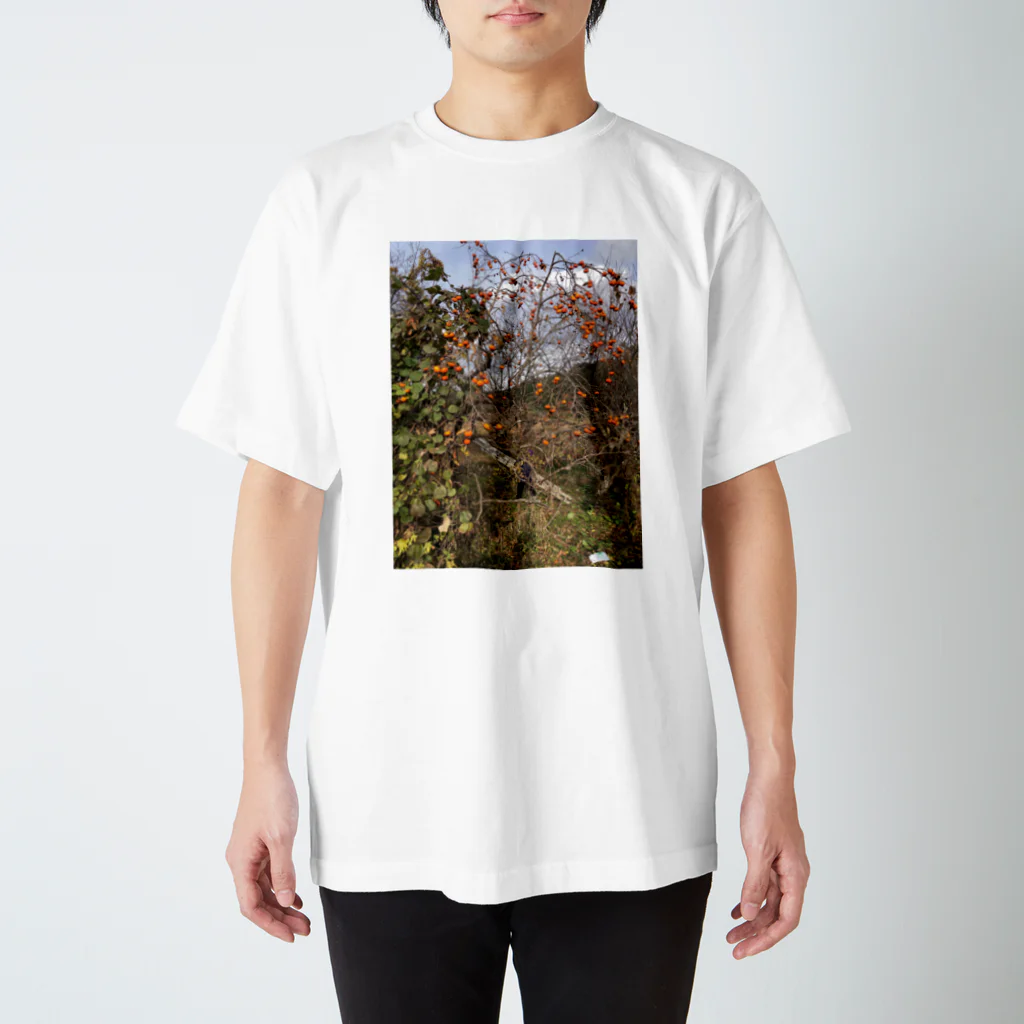 野球の柿　 Regular Fit T-Shirt