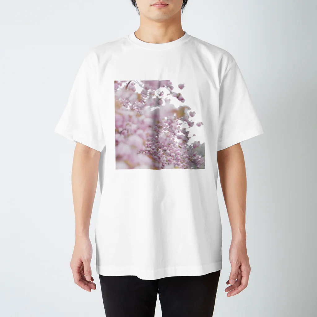 MASIA-AIRLINEのthe last spring. スタンダードTシャツ