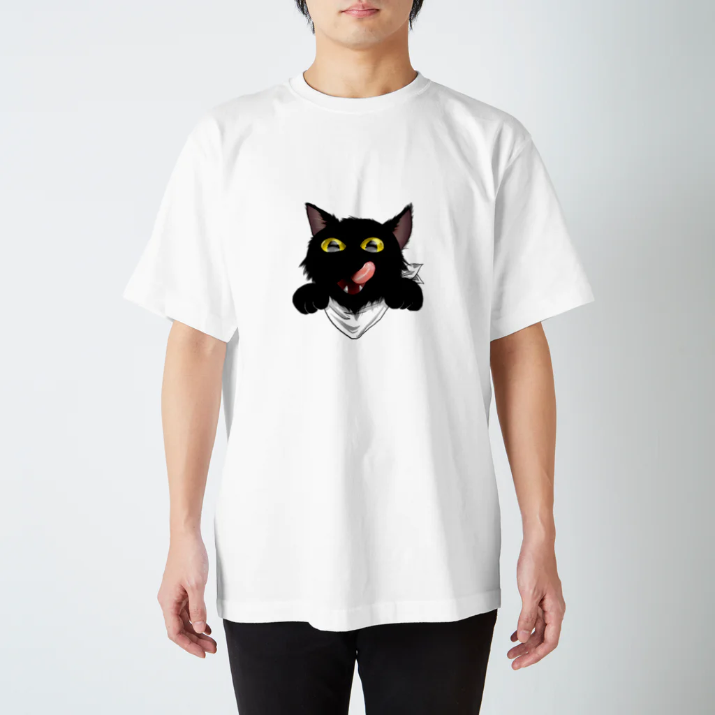 climber's_high(クライマーズハイ)のよこどりねこ スタンダードTシャツ