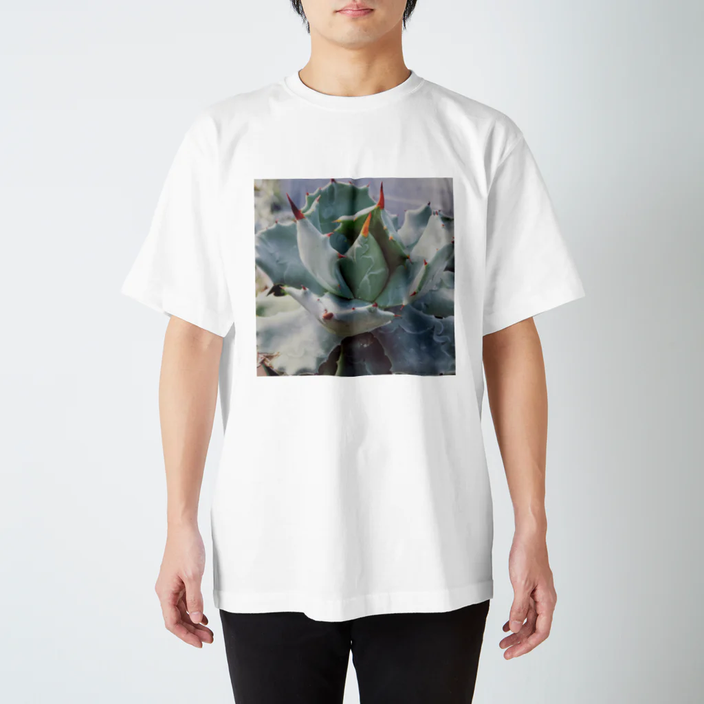 PalmHealingのアガベ Regular Fit T-Shirt