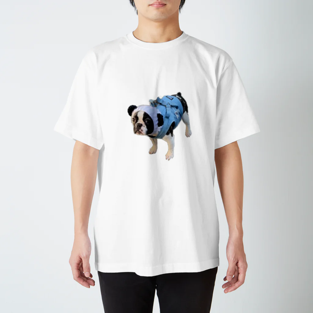 buhibuhi🐶のブヒパンダ🐼 スタンダードTシャツ