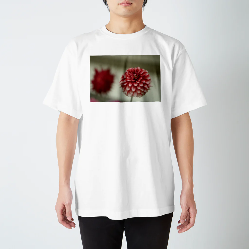 天乃鯱のダリア Regular Fit T-Shirt