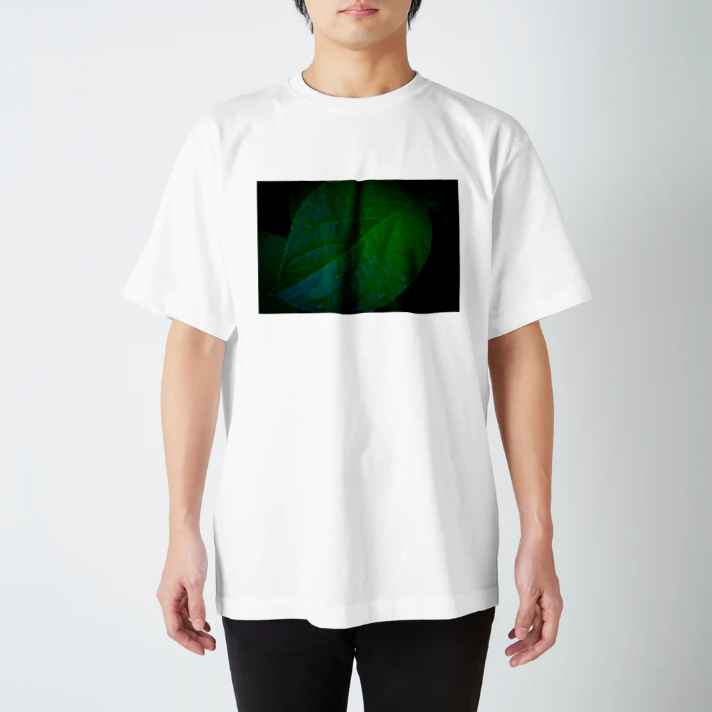 かんさきのつどいの梅雨の合間 Regular Fit T-Shirt