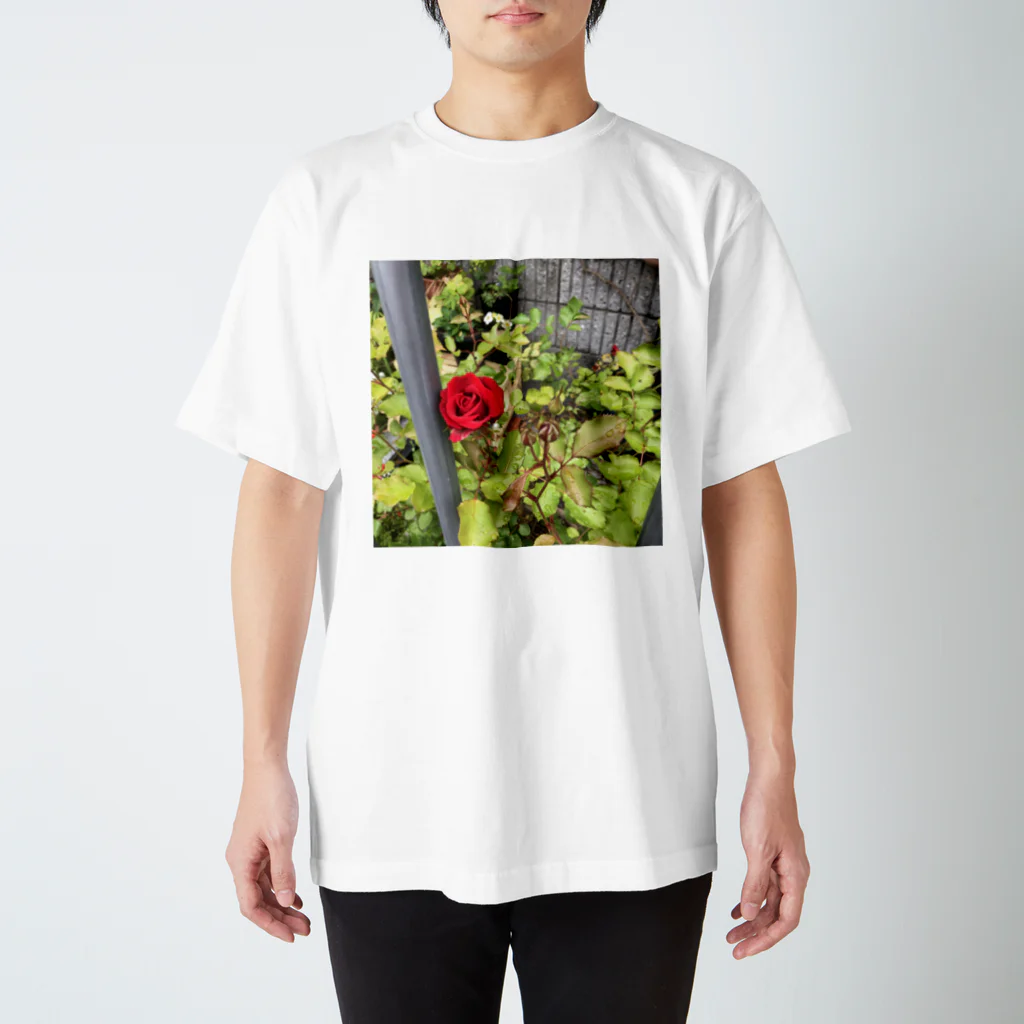 琥珀☆。.:＊・゜⛩放置少女⛩の薔薇 Regular Fit T-Shirt