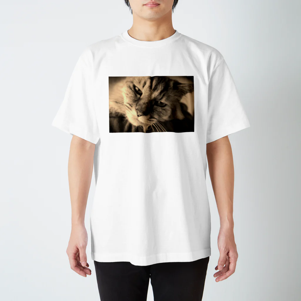 kurodoteのあまえんぼうの猫のチー スタンダードTシャツ