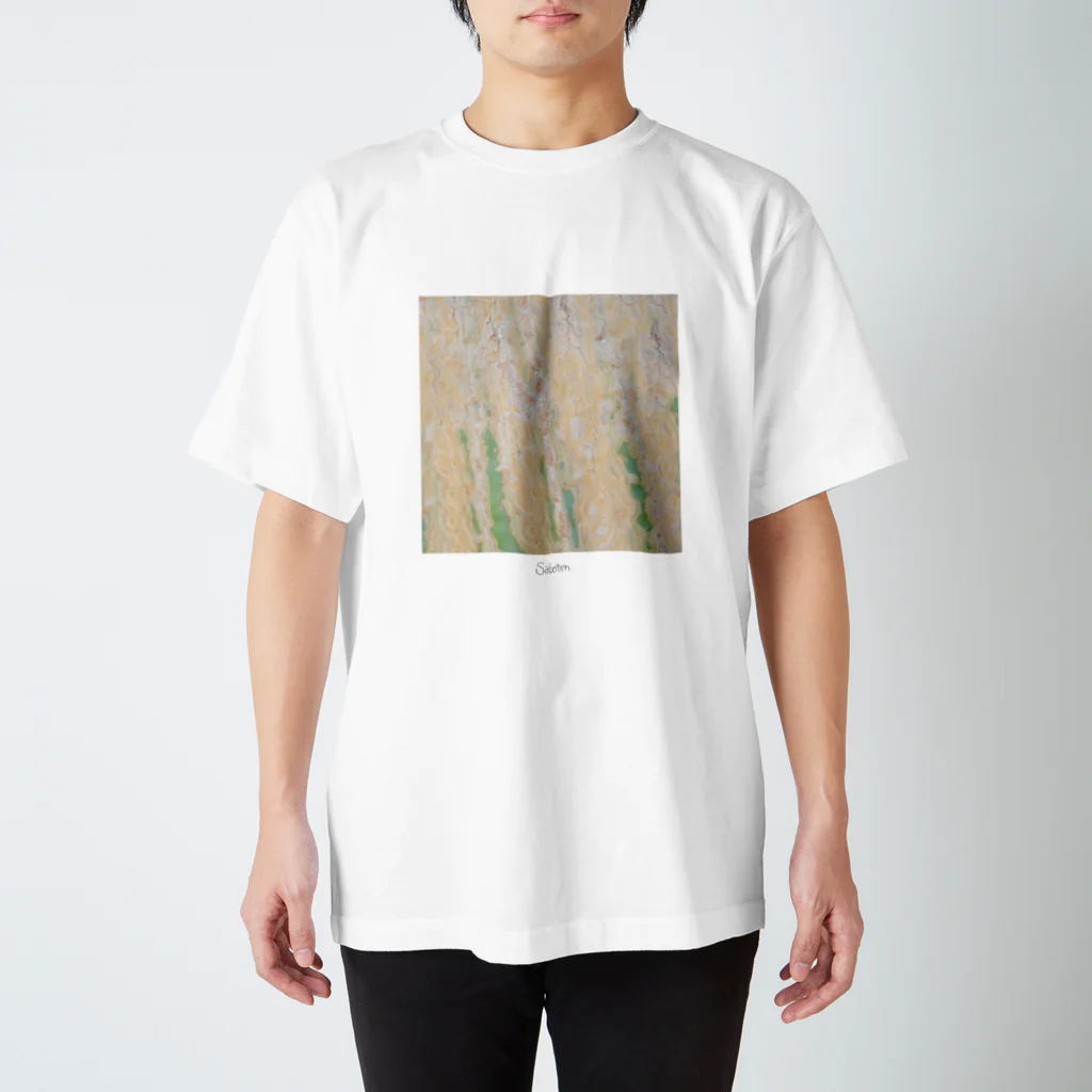 Momomoのsabotee Regular Fit T-Shirt