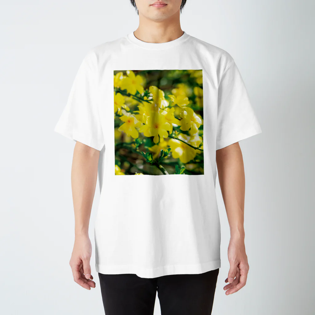 akane_art（茜音工房）の癒しの風景（オウバイ） Regular Fit T-Shirt