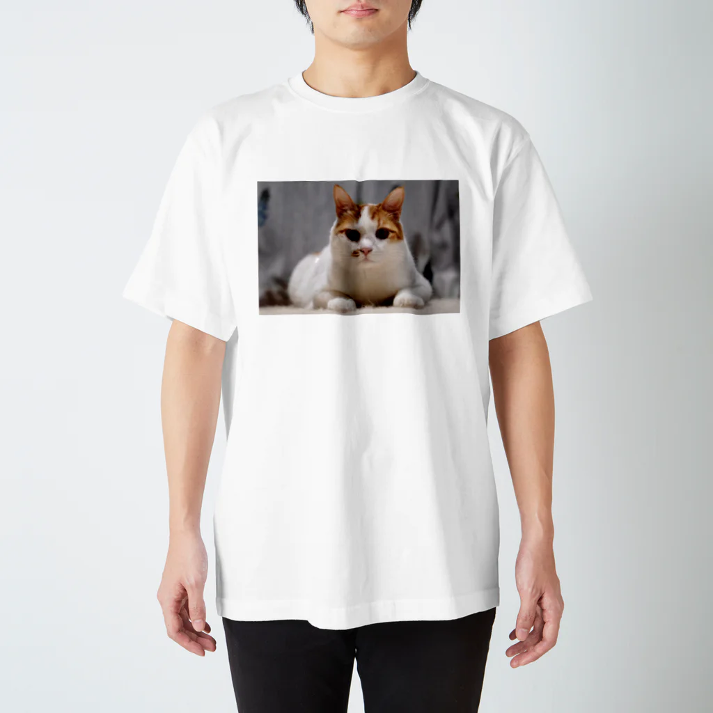 こななのねこたくん Regular Fit T-Shirt