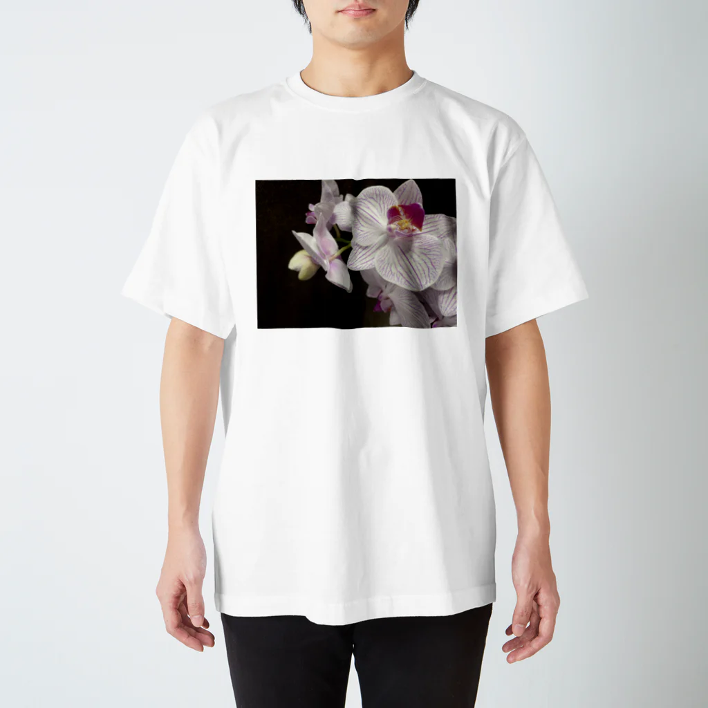 カヌレのお店の花　2 Regular Fit T-Shirt
