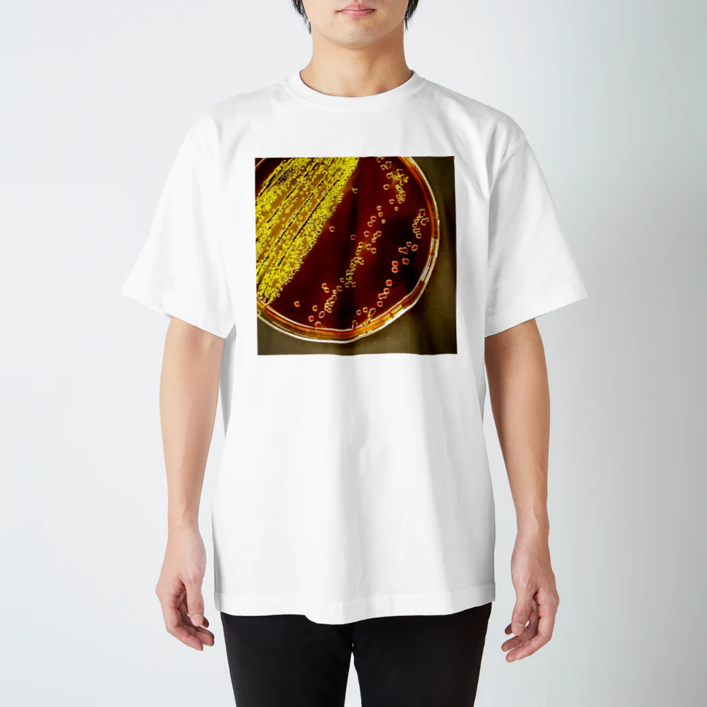 かぼす(BOSS)のColiform bacteria ～EMB agar～ スタンダードTシャツ