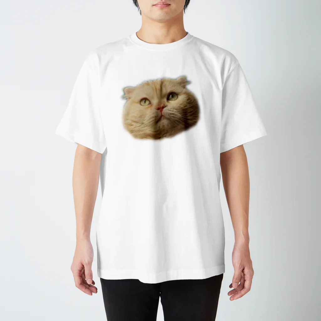 サンハイツ7号室のうちのねこはかわいい スタンダードTシャツ