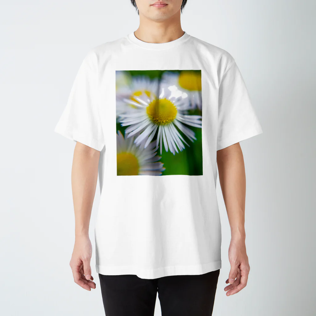 望美【写真】のヒメジョオン Regular Fit T-Shirt