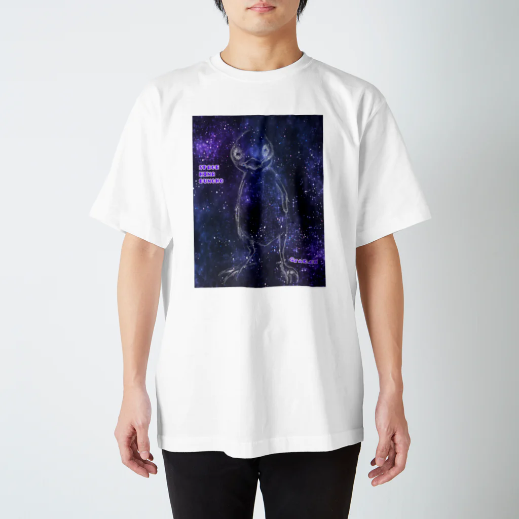 さえすとのSPACE HINA BUNCHO スタンダードTシャツ