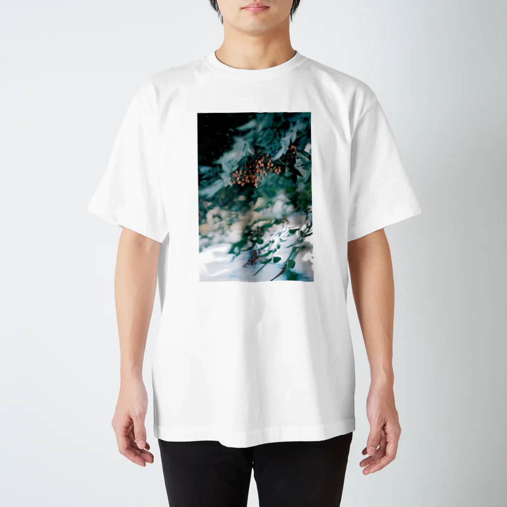 Rie Sakaiのfilm_c スタンダードTシャツ