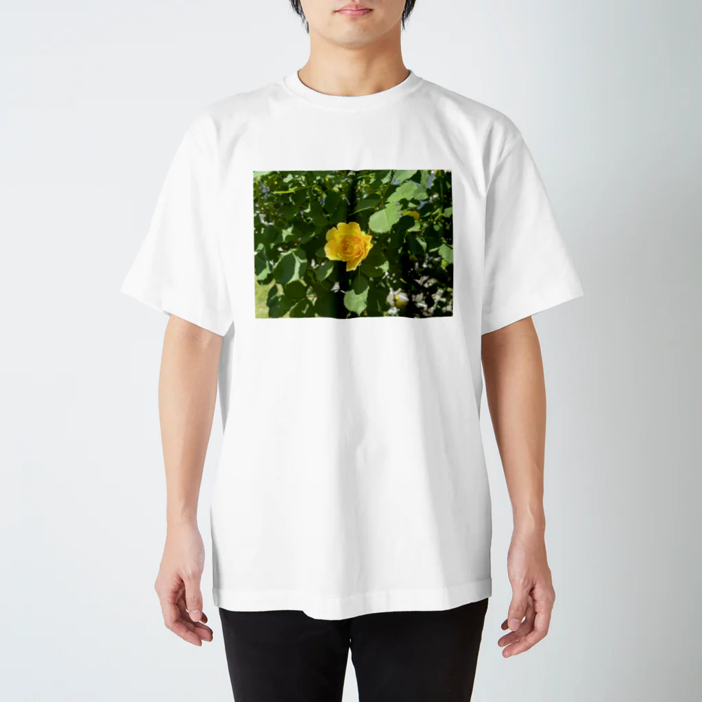 風景屋の夏の羽 Regular Fit T-Shirt