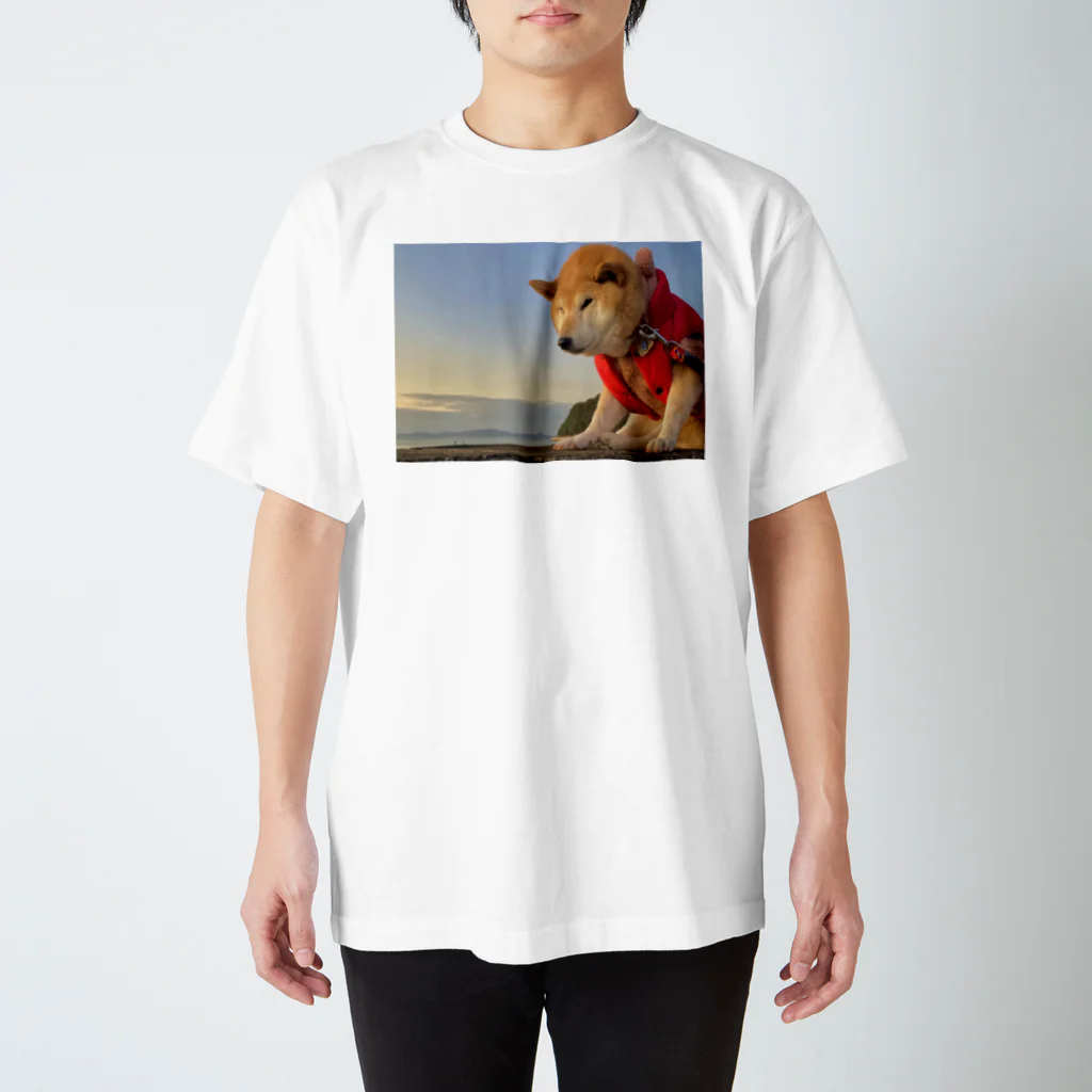柴犬と柴犬の初日の出(赤柴) Regular Fit T-Shirt