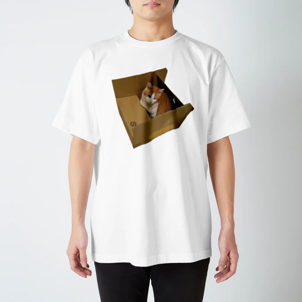 帽子や多帽の箱ねこボーちゃん Regular Fit T-Shirt