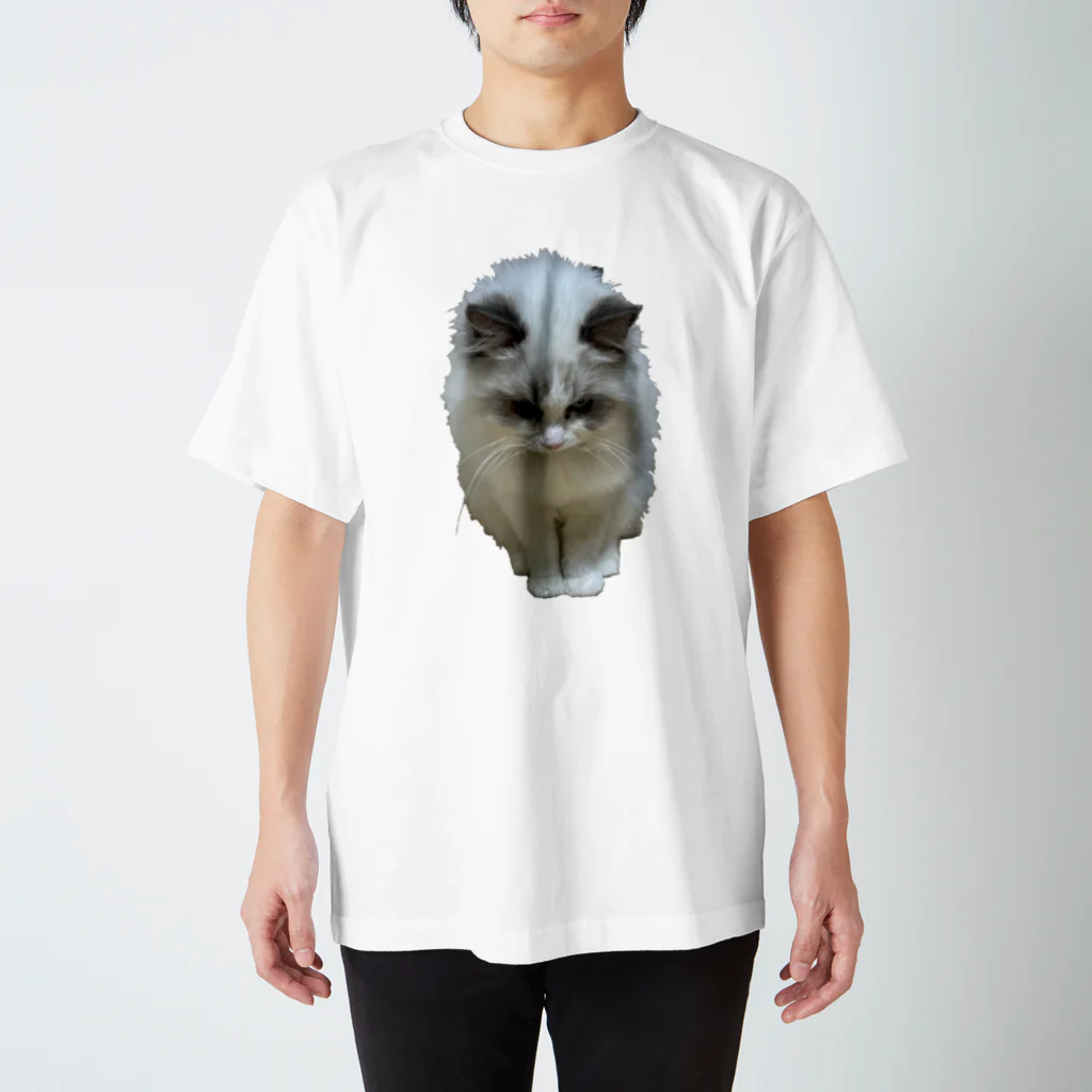 ぱわー!の飼い猫のグッズ4 Regular Fit T-Shirt