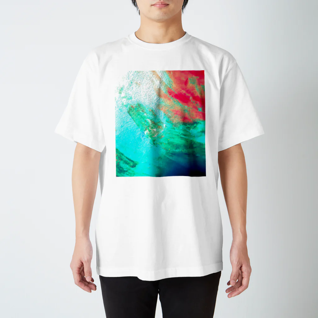 Hibiscus BLUE’sのSURF  Regular Fit T-Shirt