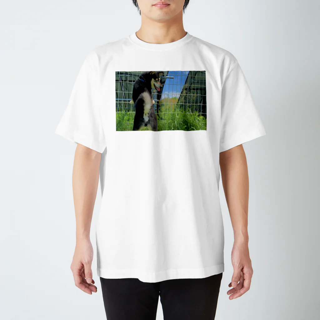 柴犬と柴犬の初夏の柴犬(両面) Regular Fit T-Shirt