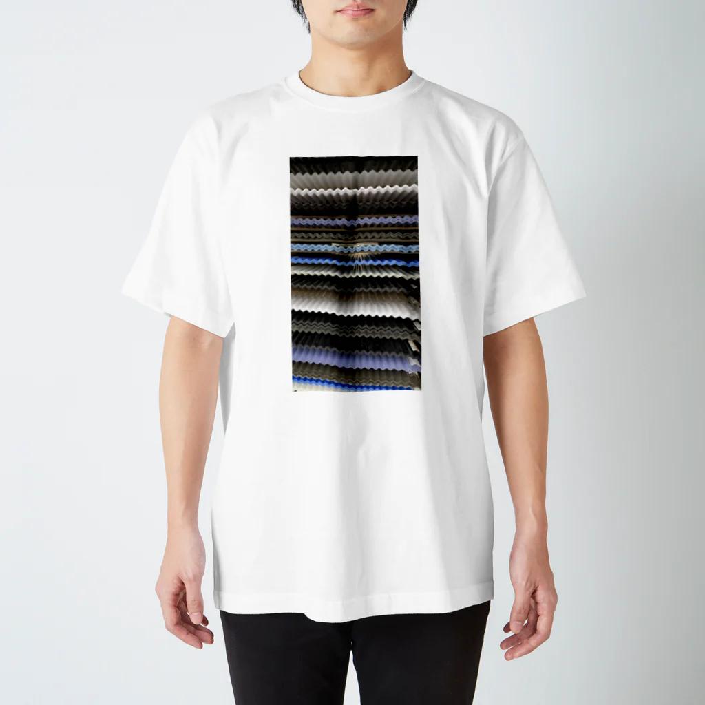 misaki motofujiのなみなみ Regular Fit T-Shirt