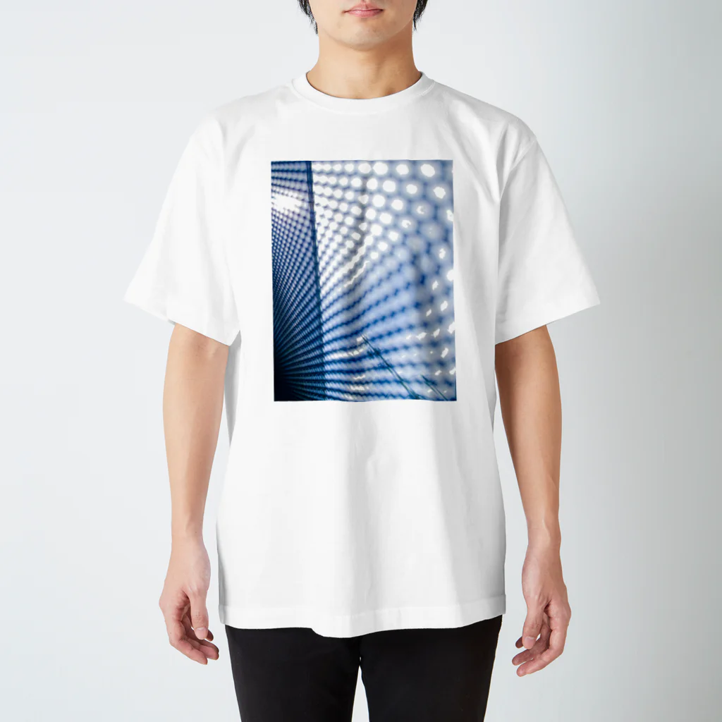 禅-ZEN-の入り込む光、逃れられない私 スタンダードTシャツ