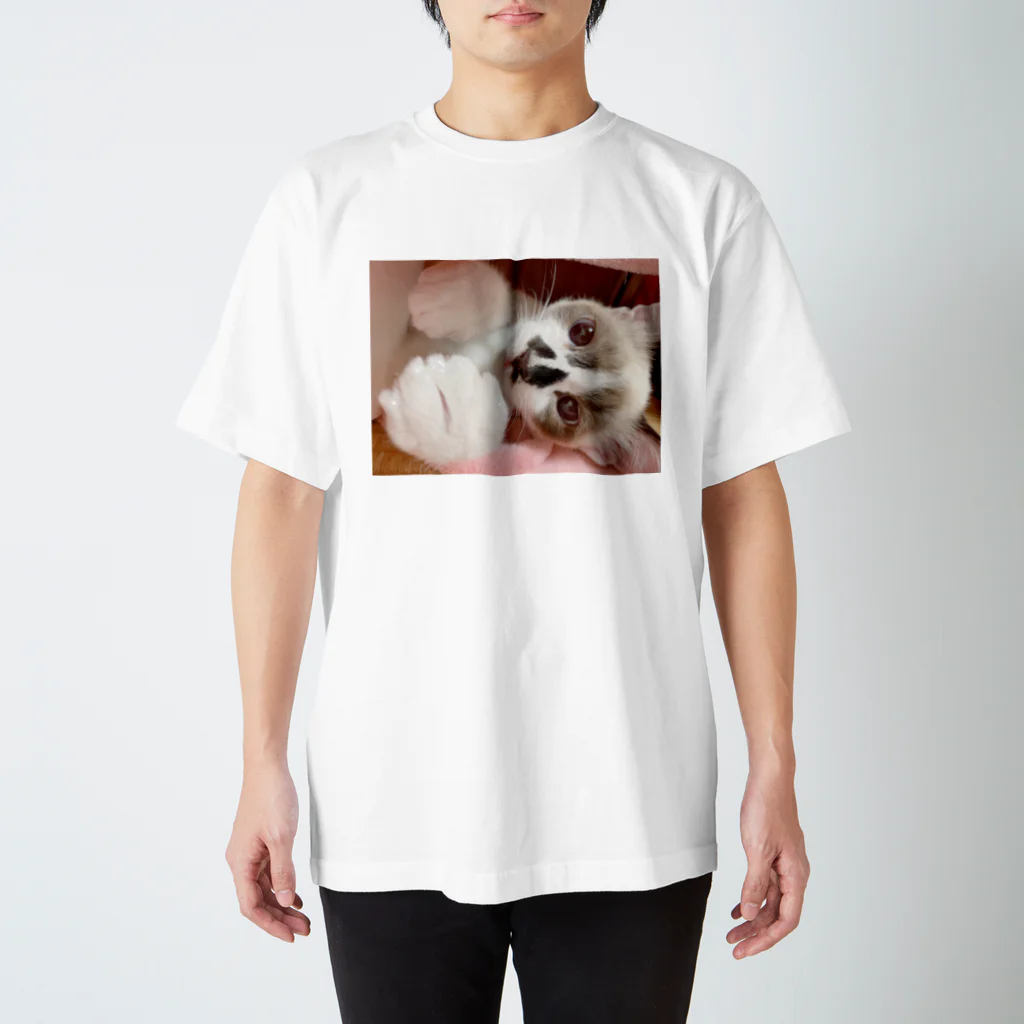 猫のぶんたshopの愉快な仲間たち (茶々) スタンダードTシャツ