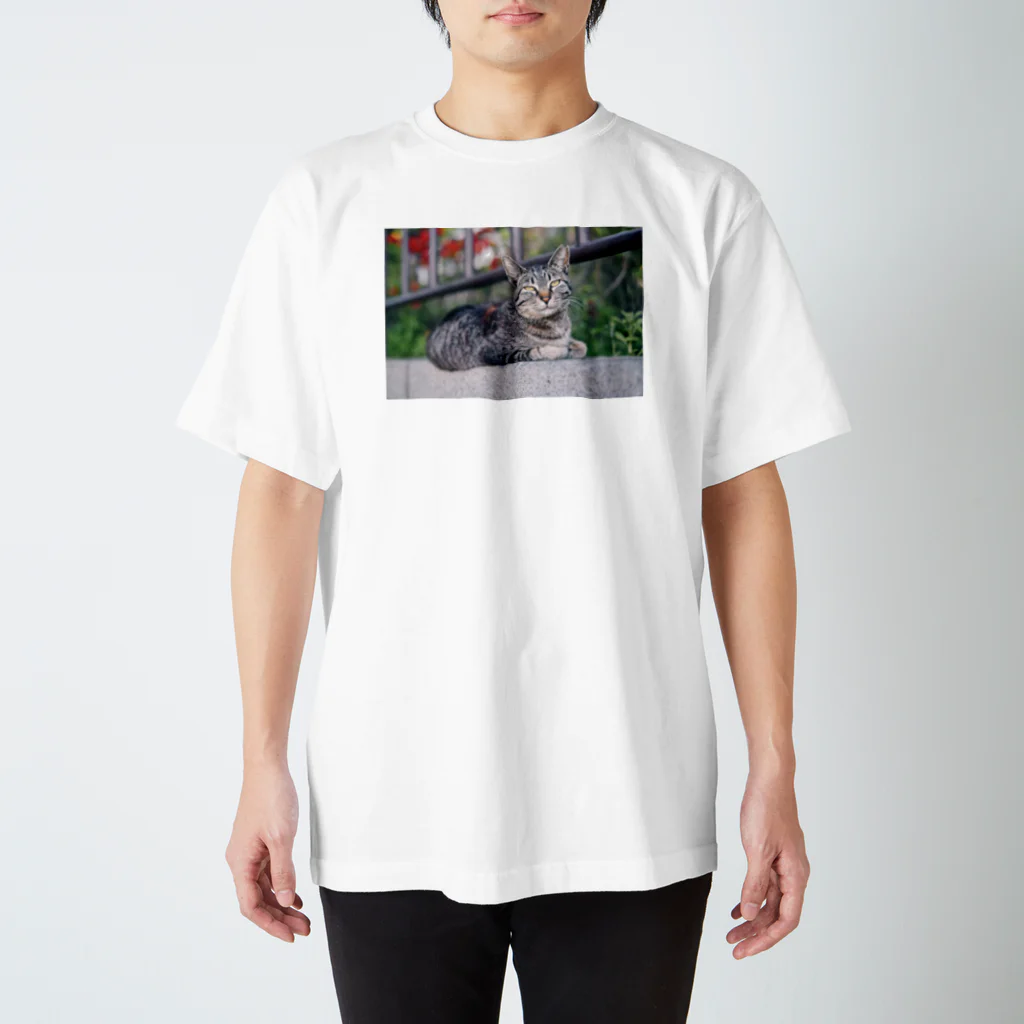 mya-wooの猫ちゃんシリーズ1 スタンダードTシャツ
