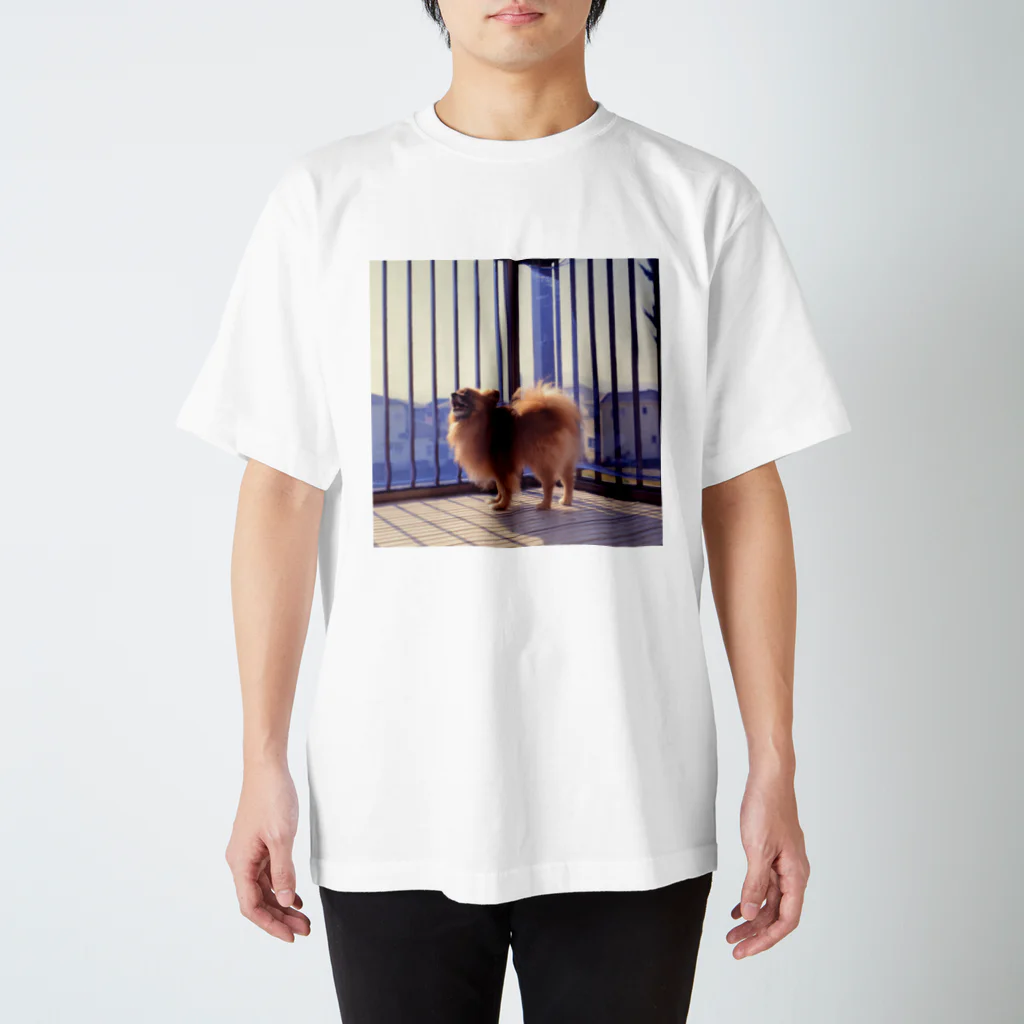 はちみつの海のkawaii inu film スタンダードTシャツ