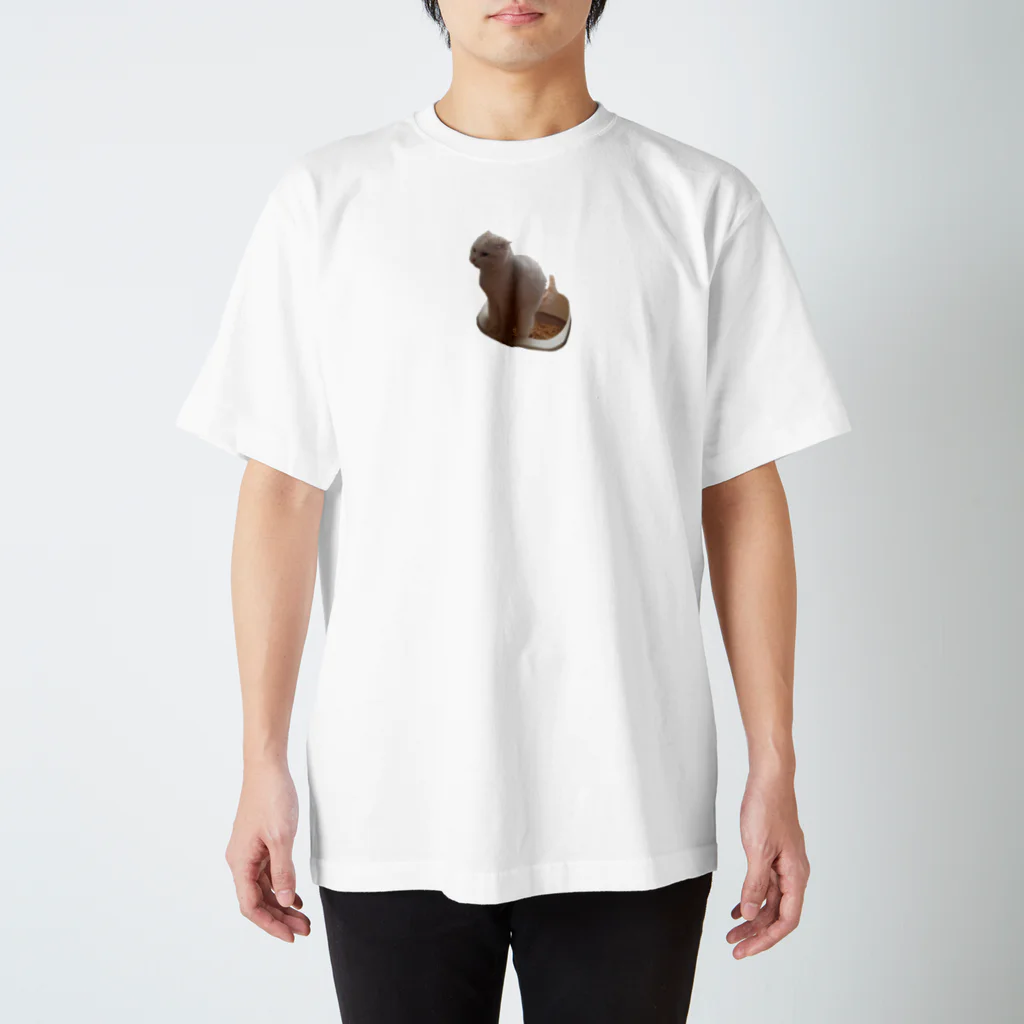 ソイねこもふもふのうんうんソイくん Regular Fit T-Shirt