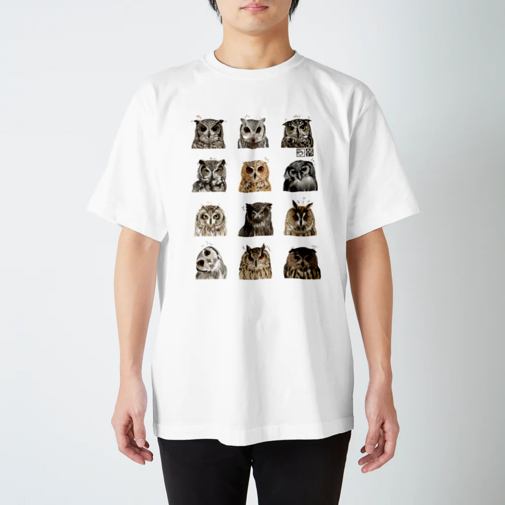 鵄　〜フクロウまみれ〜のミミズクみみずくし スタンダードTシャツ