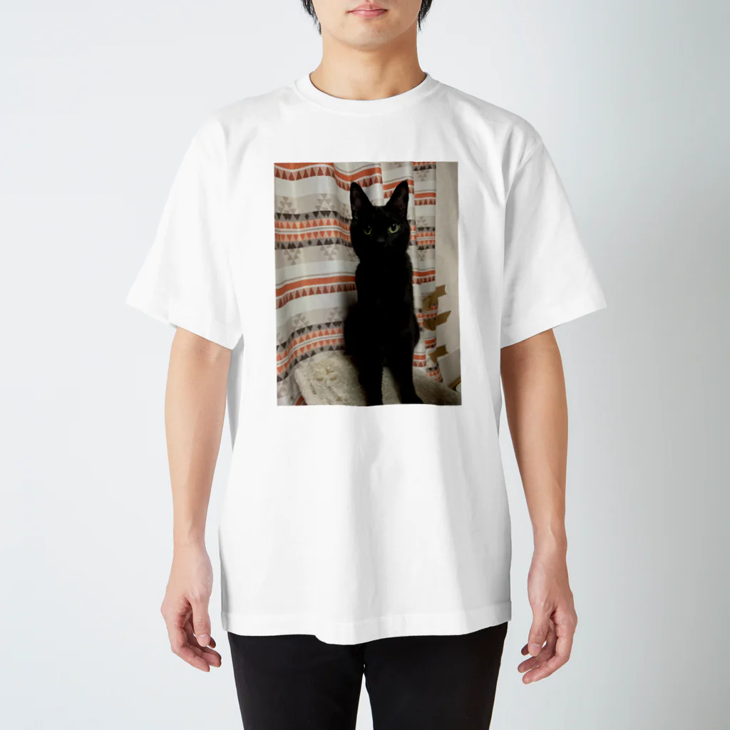 キキの黒猫ショップの黒ネコちゃん Regular Fit T-Shirt