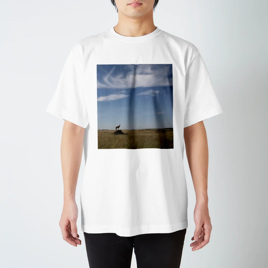 MatgeoのContrail-Kenya スタンダードTシャツ