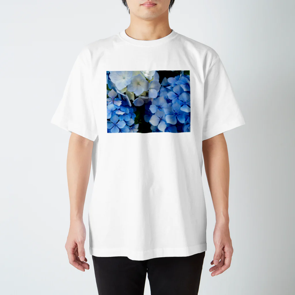 swan-alpmの紫陽花 スタンダードTシャツ