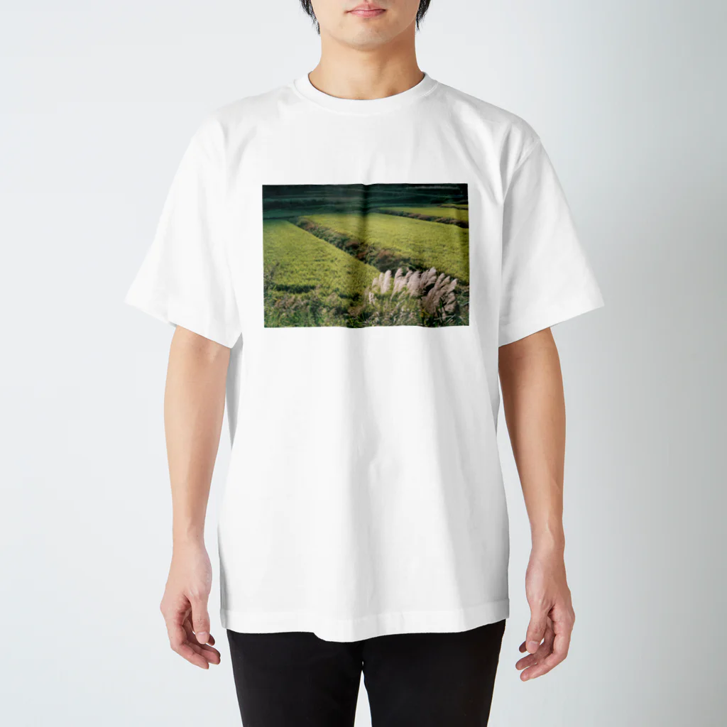 フィルムカメラのある生活の田んぼのある風景 スタンダードTシャツ